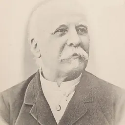 Portrait of Francisco Gomes de Amorim