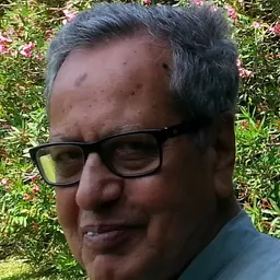 Portrait of Amiya Kumar Bagchi