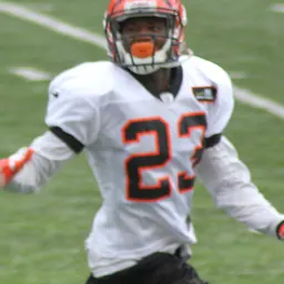Portrait of Terence Newman