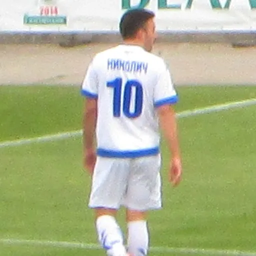 Portrait of Nemanja Nikolić