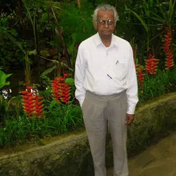 Portrait of Visweshwar Prasad Kesri