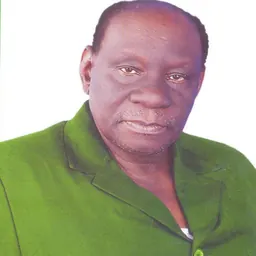Portrait of Stephen Masato Wasira
