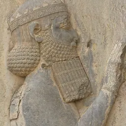 Portrait of Darius I