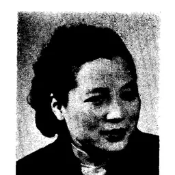 Portrait of Fei Xia
