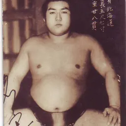 Portrait of Nayoroiwa Shizuo