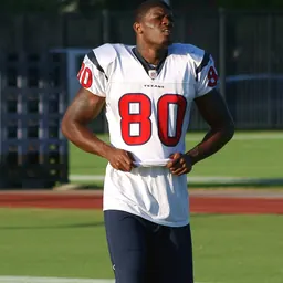Portrait of Andre Johnson