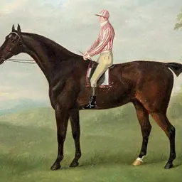 Portrait of Tom Goodisson