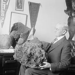 Portrait of Herbert J. Drane