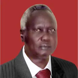Portrait of Lawrence Lual Lual