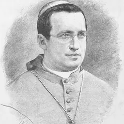 Portrait of Franziskus von Sales Bauer