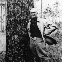 Portrait of Herbert Lee Stoddard