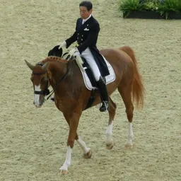 Portrait of Hiroshi Hoketsu