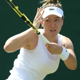 Portrait of Lulu Sun
