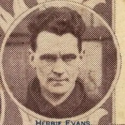 Portrait of Herbie Evans