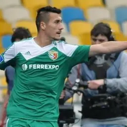 Portrait of Adis Jahović