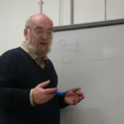 Portrait of Goran Švob