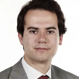 Portrait of Sérgio Sousa Pinto