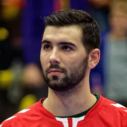 Portrait of Tibor Ivanišević