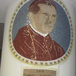 Portrait of Luis Chávez y González