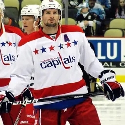 Portrait of Troy Brouwer