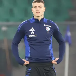 Portrait of Miloš Luković