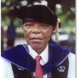 Portrait of Ossie Enekwe