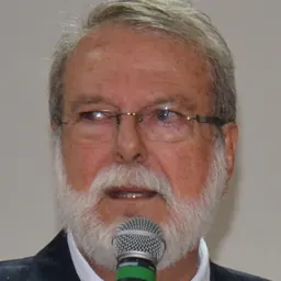 Portrait of José Bonifácio Ferreira Novellino