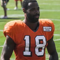 Portrait of Kenny Britt