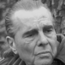 Portrait of Richard Appignanesi
