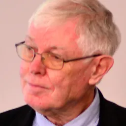 Portrait of Dennis Deletant