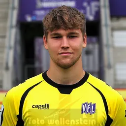 Portrait of Niklas Sauter