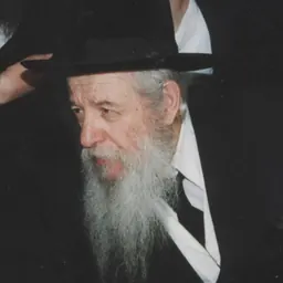 Portrait of Yaakov Perlow