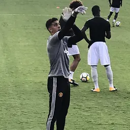 Portrait of Joel Pereira
