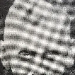 Portrait of Henry Mattson