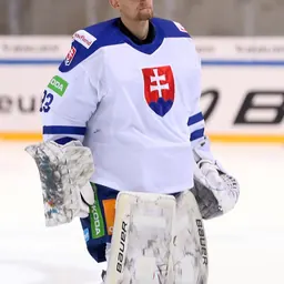 Portrait of Dominik Riečický