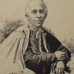 Portrait of Gaetano Alimonda