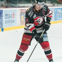 Portrait of Roman Tomas