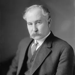 Portrait of Albert B. Fall