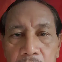 Portrait of Mangasi Sihombing