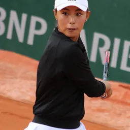 Portrait of Wang Qiang