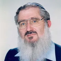 Portrait of Eliezer Waldman