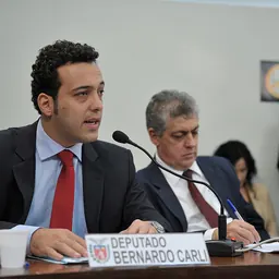 Portrait of Bernardo Ribas Carli
