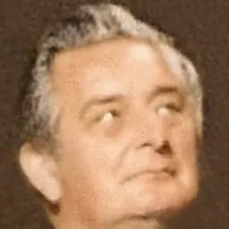 Portrait of Geraint Howells