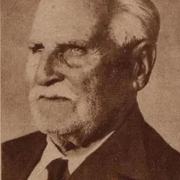 Portrait of Manuel do Nascimento Vargas