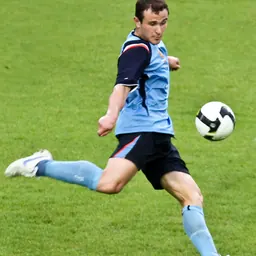 Portrait of Sean Rooney