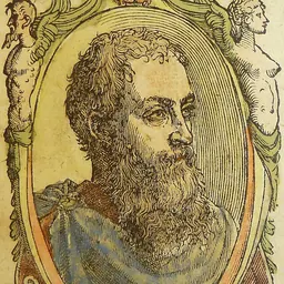 Portrait of Francesco Sansovino