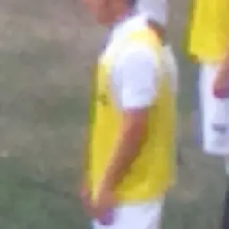 Portrait of Ronaldo Mendes
