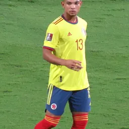 Portrait of Diego Valoyes