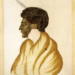 Portrait of Te Rauparaha