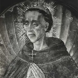 Portrait of Andrea Bertoni